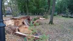 94a43778-28ff-4dc2-a0a7-1ac2ebeacf5c