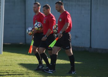 wolania wisla 1