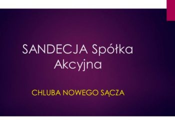 20190118 sandecja prezentacja01
