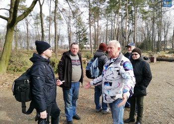 Park Strzelecki wycinka001