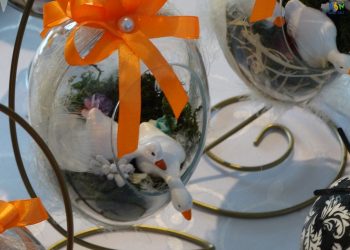 DSC09650