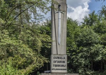 buczyna 3344