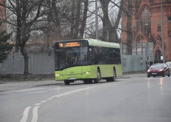 autobus gminy