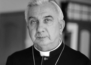 abp ziemba e1619080410915