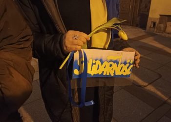 274299854 486352369602296 938574564441967580 n