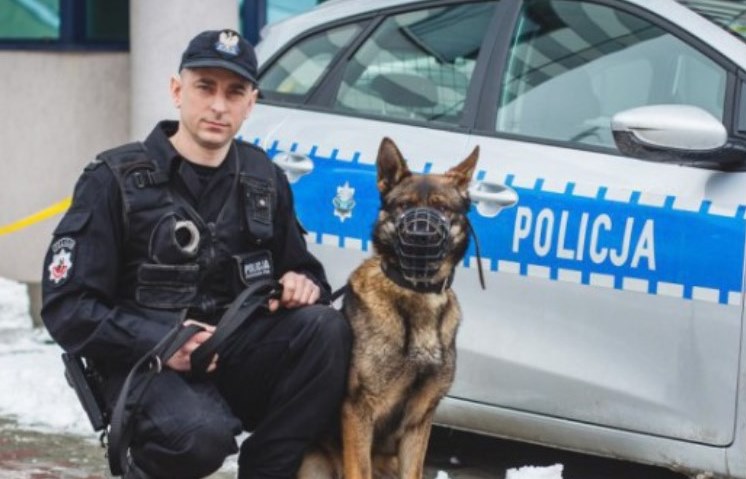 policjant pies