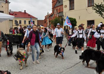 parada 54