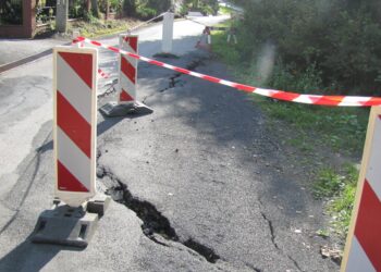 fot. Urząd Miasta Limanowa