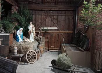 zywa szopka biegonice 3