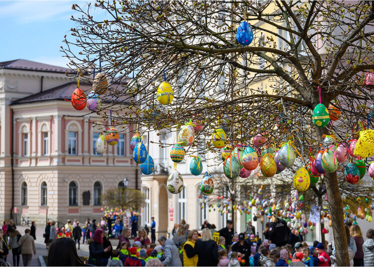 fot. Urząd Miasta Tarnowa / Paweł Topolski