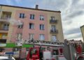 fot. JRG nr 1 Nowy Sącz, Państwowa Straż Pożarna
