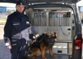 fot. Komenda Miejska Policji w Nowym Sączu