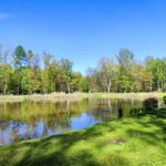 piaskowk park staw labedz 1