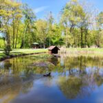 piaskowk park staw labedz 2