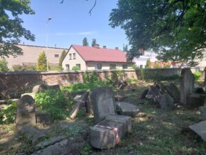 cmentarz zydowski inwentaryzacja 6