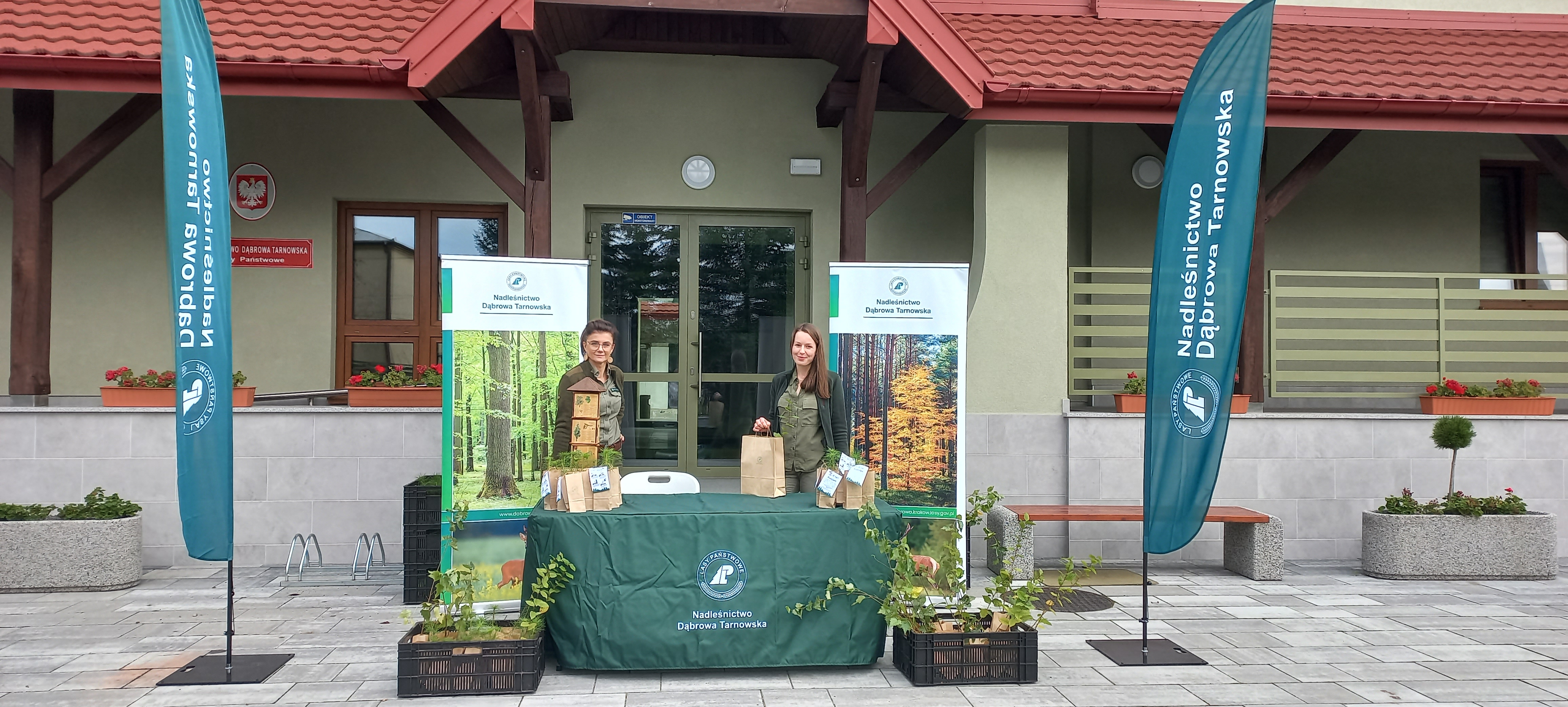 Narodowe sadzenie drzew. Leśnicy przygotowali milion sadzonek