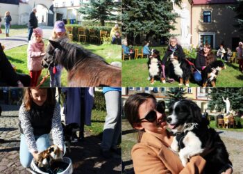 Mieszkańcy Tarnowa razem ze swoimi zwierzętami uczestniczyli w Mszy św. na dziedzińcu klasztoru ojców bernardynów