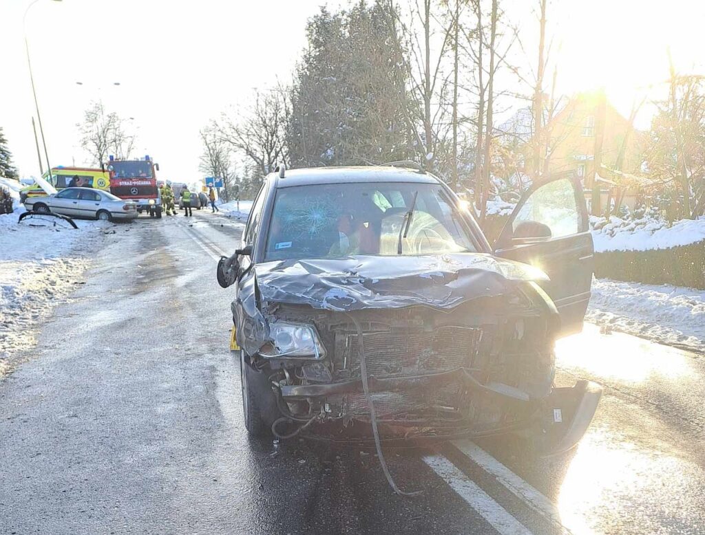 wypadek siedliska glowne