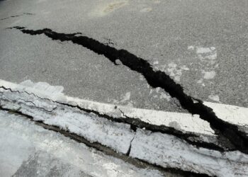 zdjęcie ilustracyjne