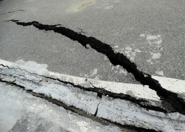 zdjęcie ilustracyjne