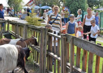 fot. FB MINI ZOO Tarnów, Zaczarnie 6 a