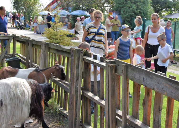 fot. FB MINI ZOO Tarnów, Zaczarnie 6 a