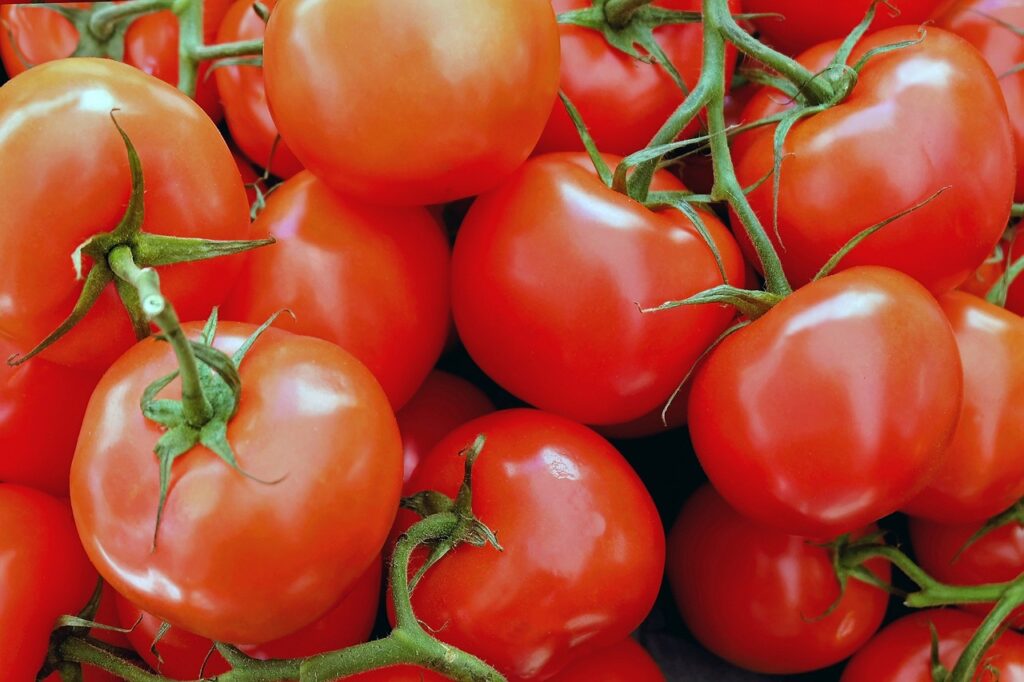 tomatoes 1263086 1280