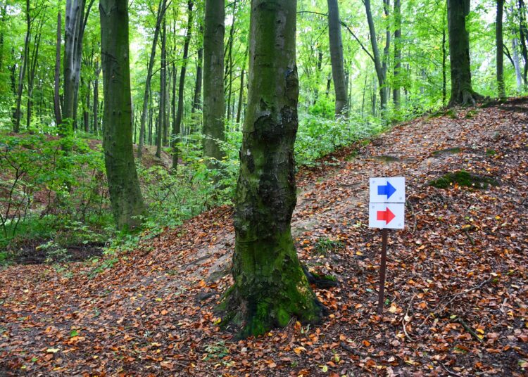 fot. facebook: Marcin Kiwior - Wójt Gminy Skrzyszów