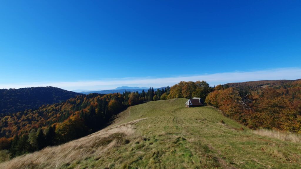 beskid sadecki jesien pod hala labowska