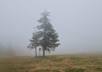 fot. Schronisko Górskie PTTK na Turbaczu (zdj. archiwalne)