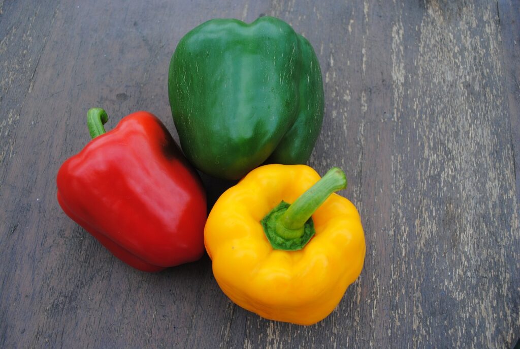 bell pepper 7042955 1280