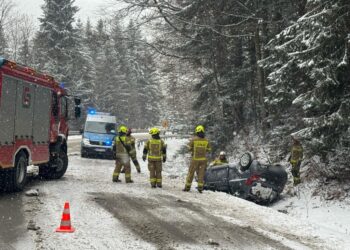 fot. Policja Limanowa (Fb)