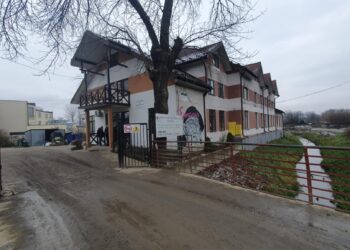 schronisko bezdomni ns 6