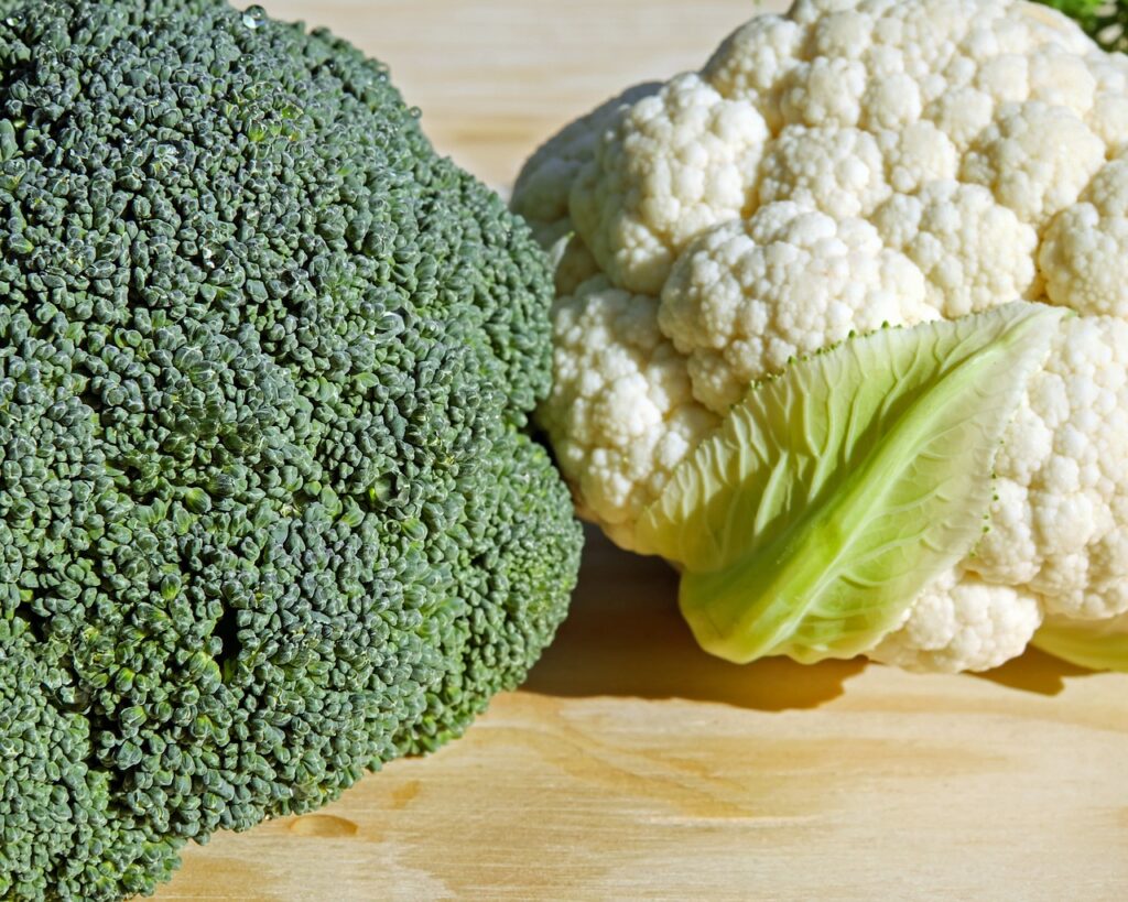 broccoli 3200719 1280