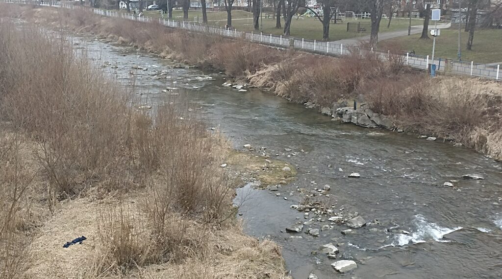 Kamienica
