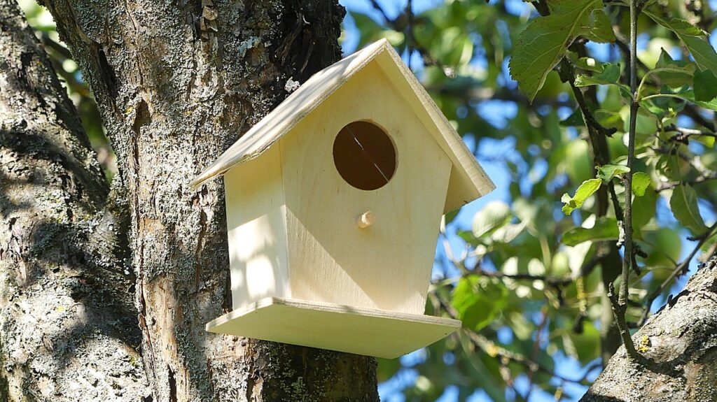 bird house 2640932 1280