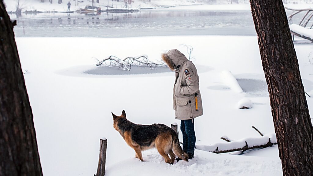 man winter coat forest with shepherd dog