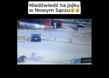 fot. Nowy Sącz na Wesoło na Facebooku