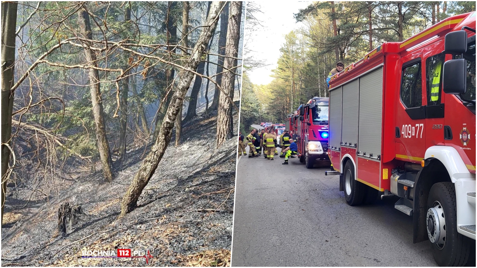 Pożar lasu w Lipnicy Górnej. Samolot będzie zrzucać wodę z powietrza