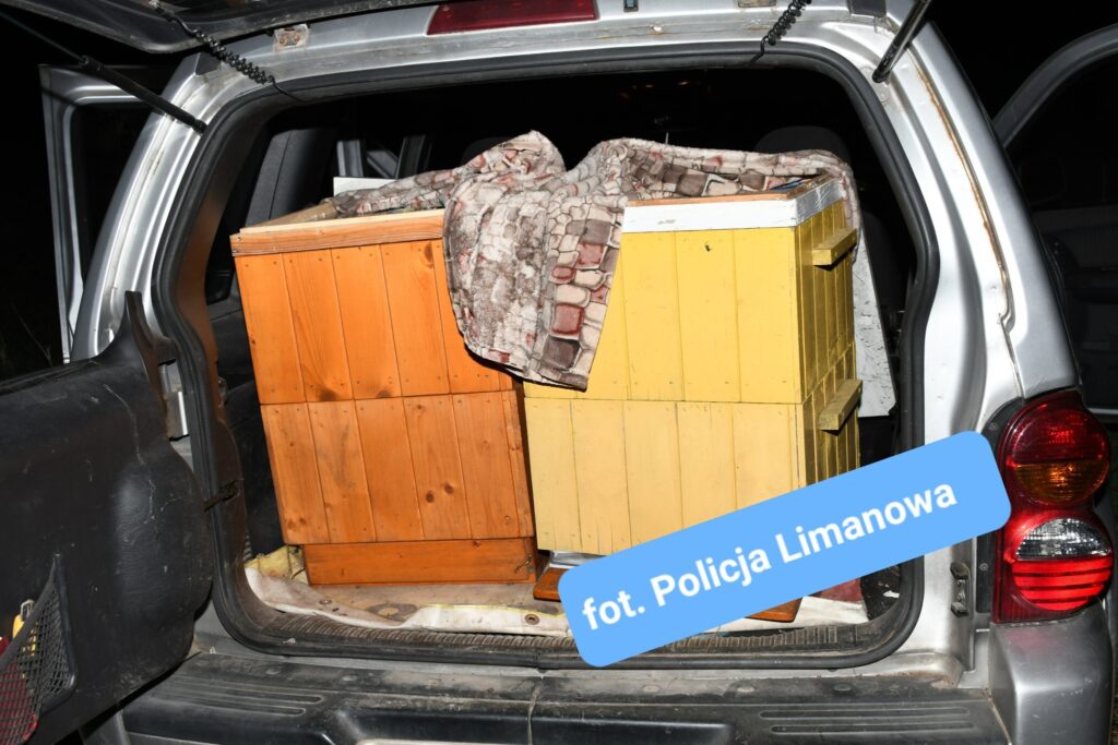 ule policja limanowa