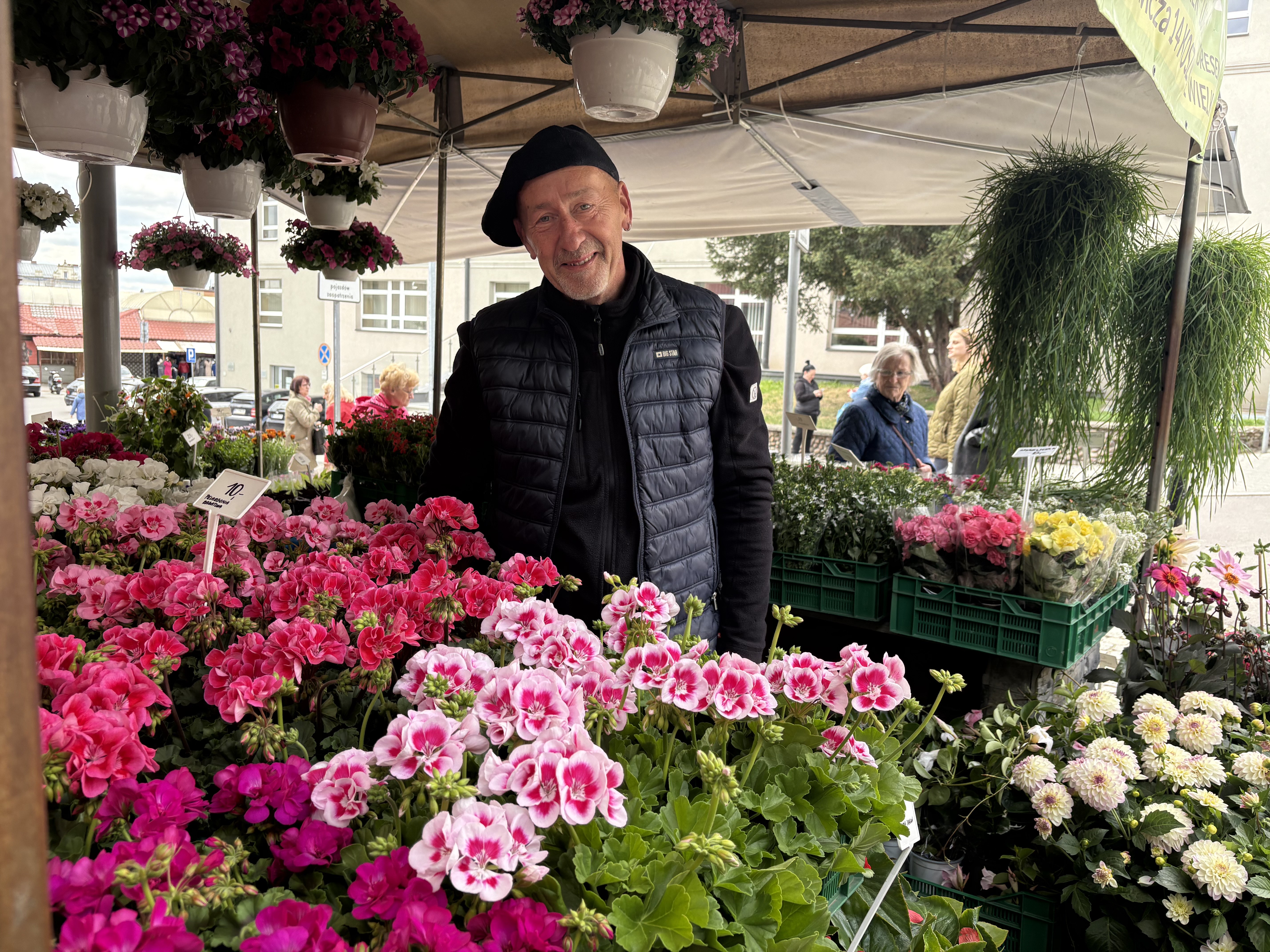 Majowe przymrozki uderzają w ogrodników. Zimna Zośka straszy temperaturami