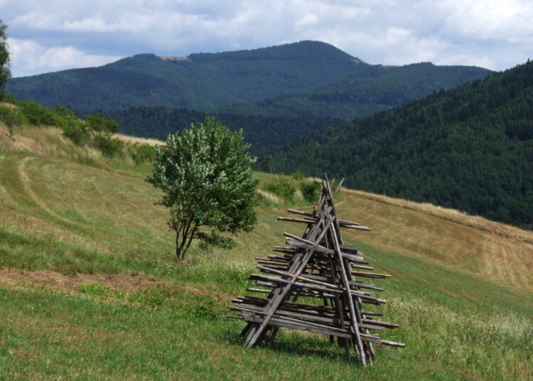 Autorstwa Jerzy Opioła - Praca własna, CC BY-SA 4.0, https://commons.wikimedia.org/w/index.php?curid=4353434