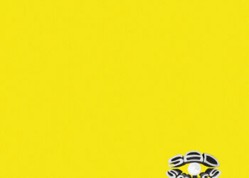 Sad Smiles Bunt Cover Digital