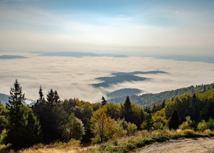 fot. PKL Jaworzyna Krynicka