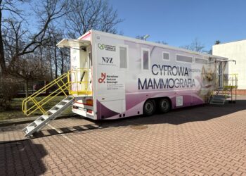 fot. zdjęcie ilustracyjne, https://gliwice.nio.gov.pl