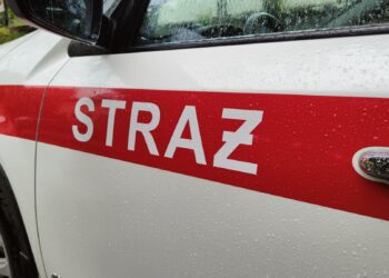 zdjęcie ilustracyjne