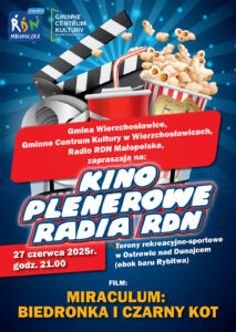 Plakat kinowy Ostrow 5