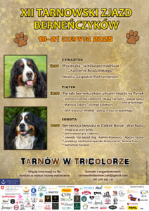 plakat A3 2025