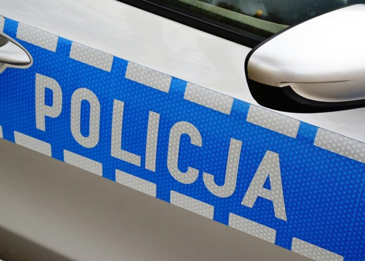 policja