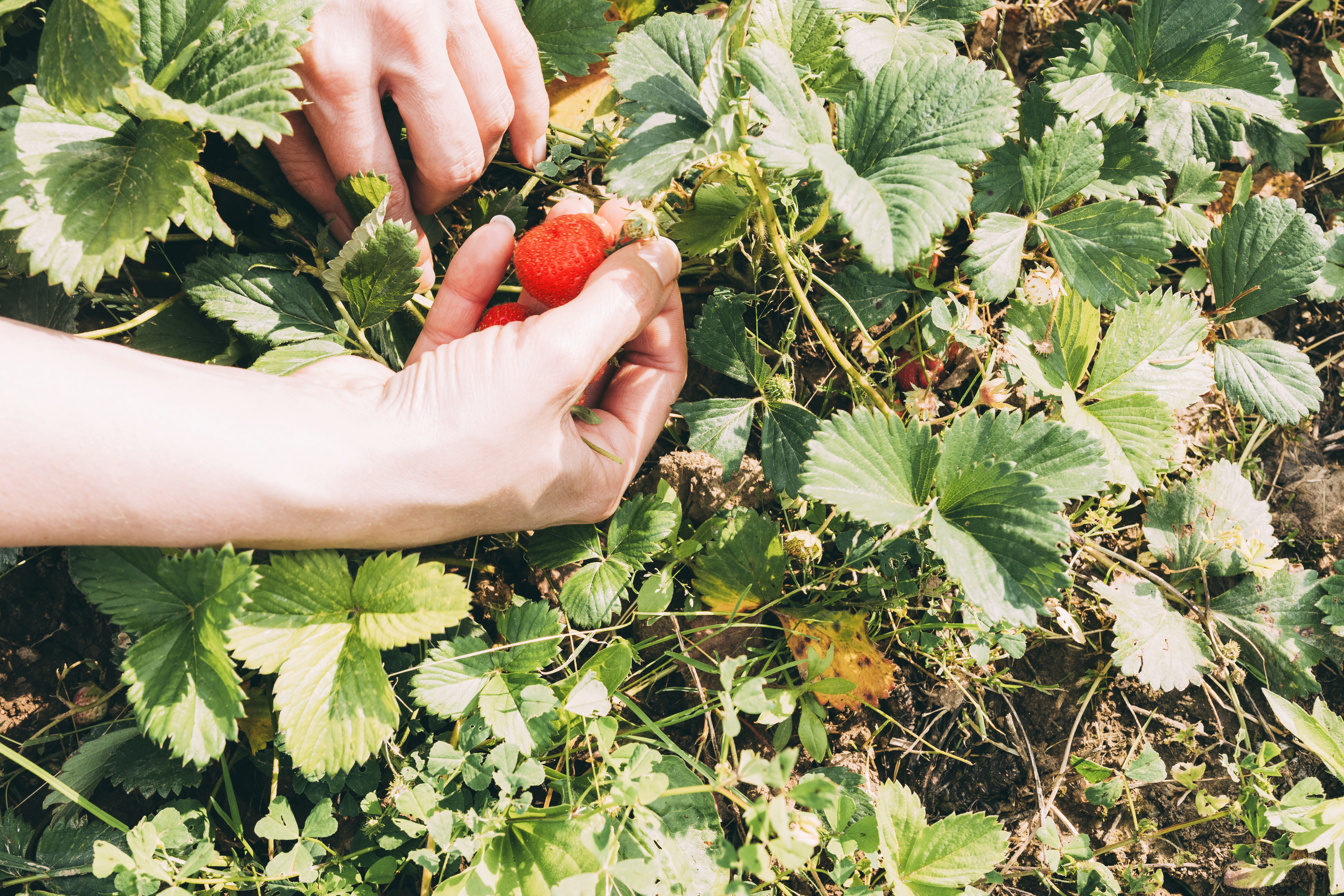 Jak studenci dorabiają w wakacje? Zdradzili nam swoje sposoby na letni zarobek